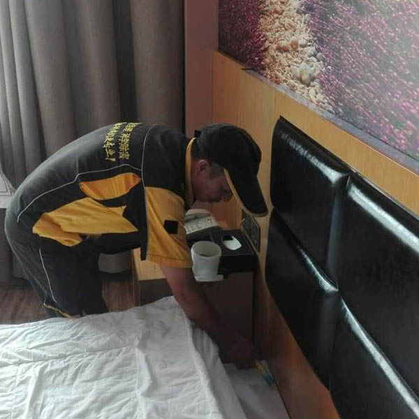 臭虫防治
